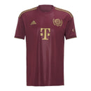 Camisa Bayern de Munique Aniversário 125 anos 24/25 - Torcedor Adidas Masculina